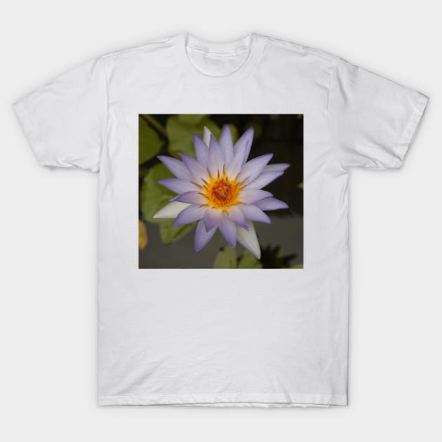 Spring Lily T-Shirt by Michaelm43
